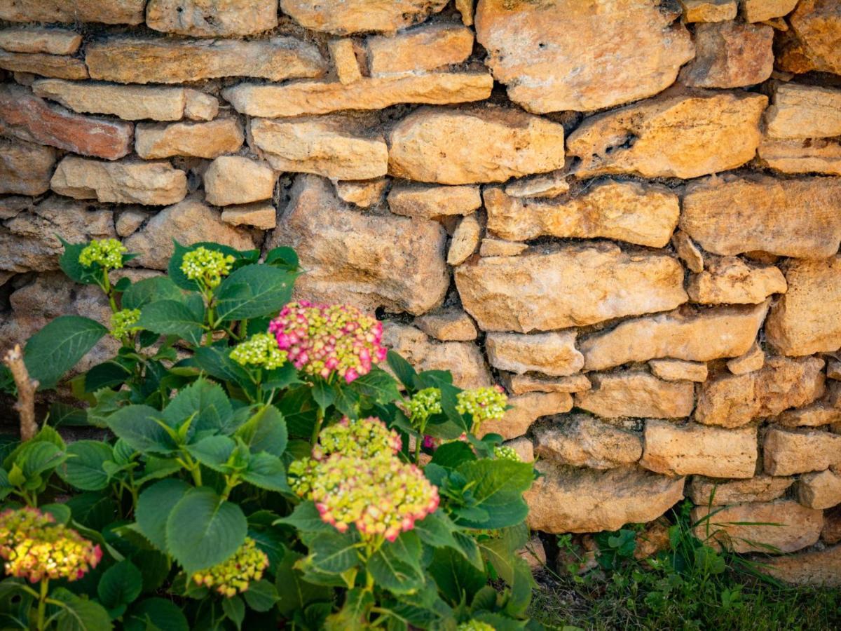 Gite Girou Haut Montcabrier  Extérieur photo